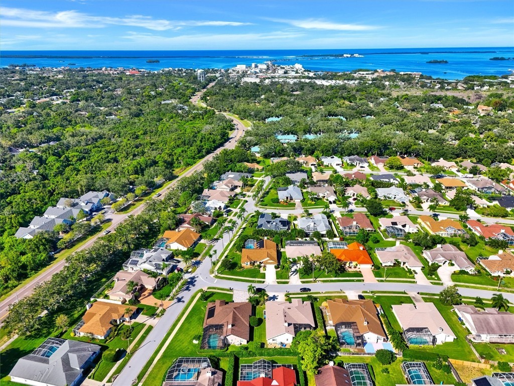 2686 Scobee Drive Palm Harbor FL 34683 TB8437494 image50