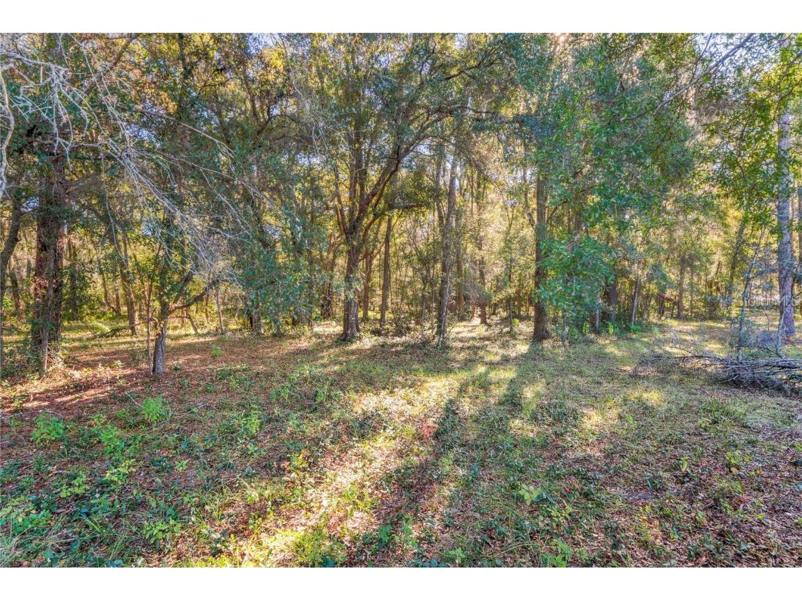 26861 Mondon Hill Road Brooksville FL 34601 W7880824 image37