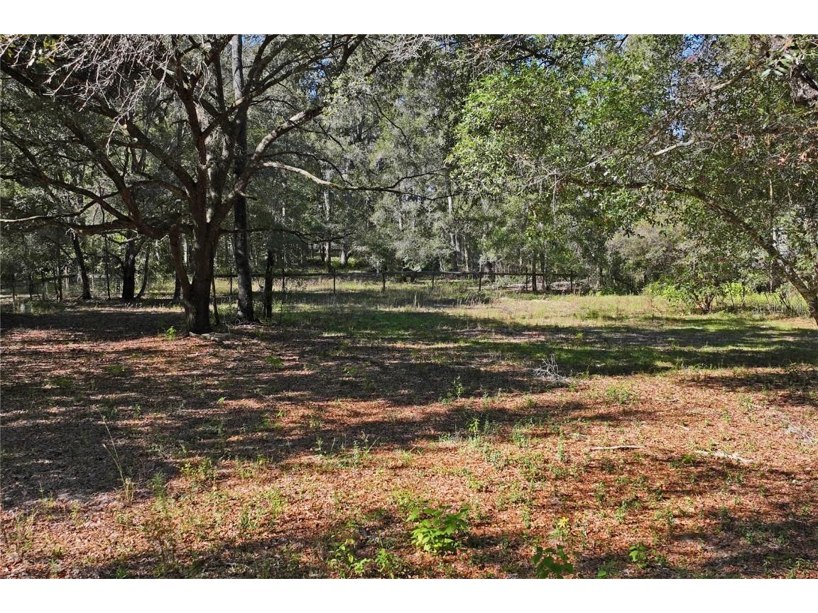 26861 Mondon Hill Road Brooksville FL 34601 W7880824 image42