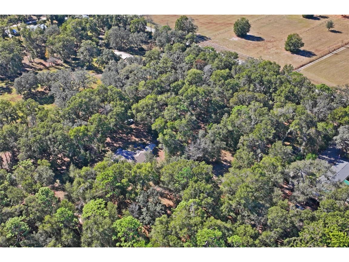 26861 Mondon Hill Road Brooksville FL 34601 W7880824 image44