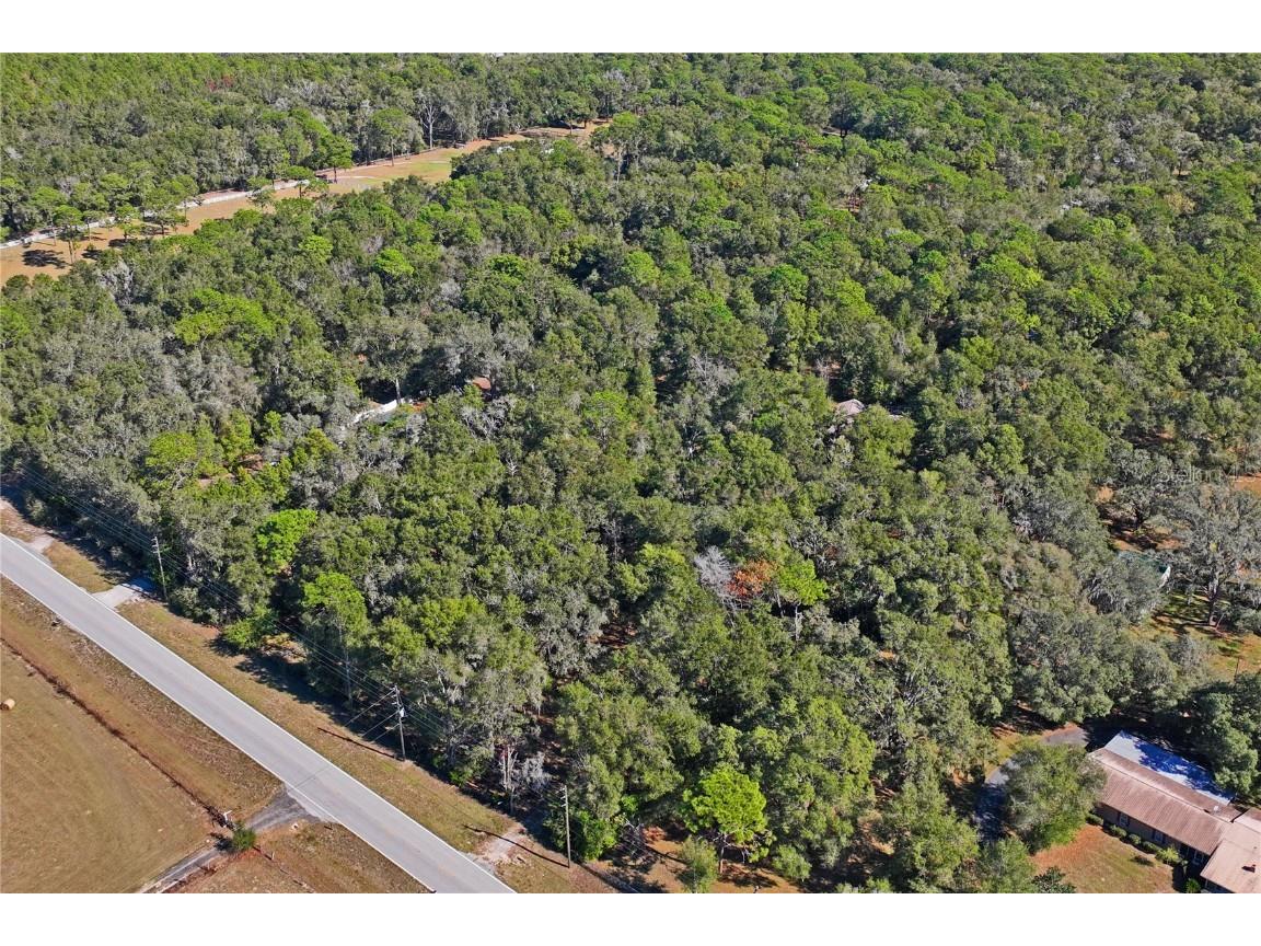 26861 Mondon Hill Road Brooksville FL 34601 W7880824 image46