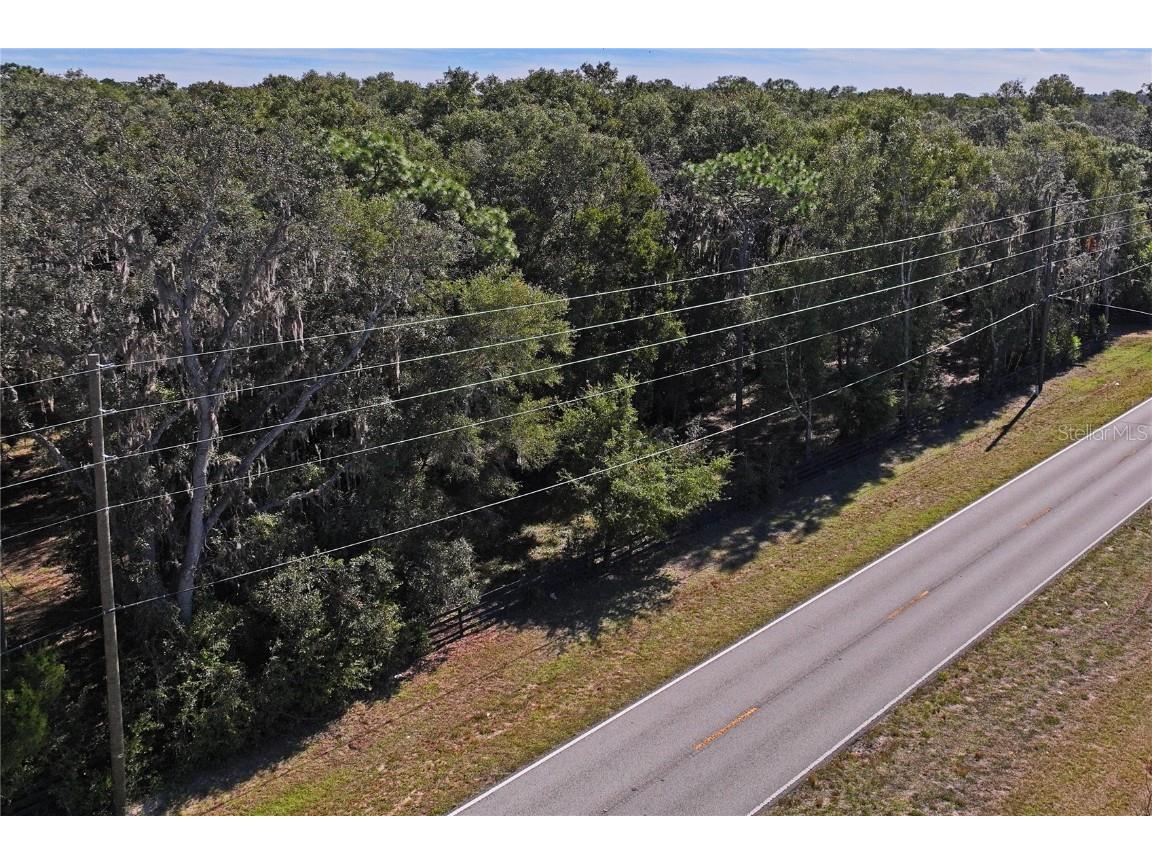 26861 Mondon Hill Road Brooksville FL 34601 W7880824 image47