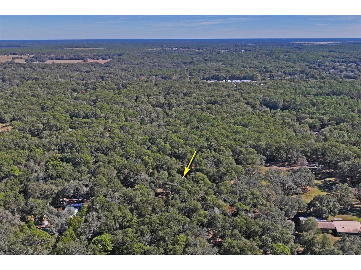 26861 Mondon Hill Road Brooksville FL 34601 W7880824 image48