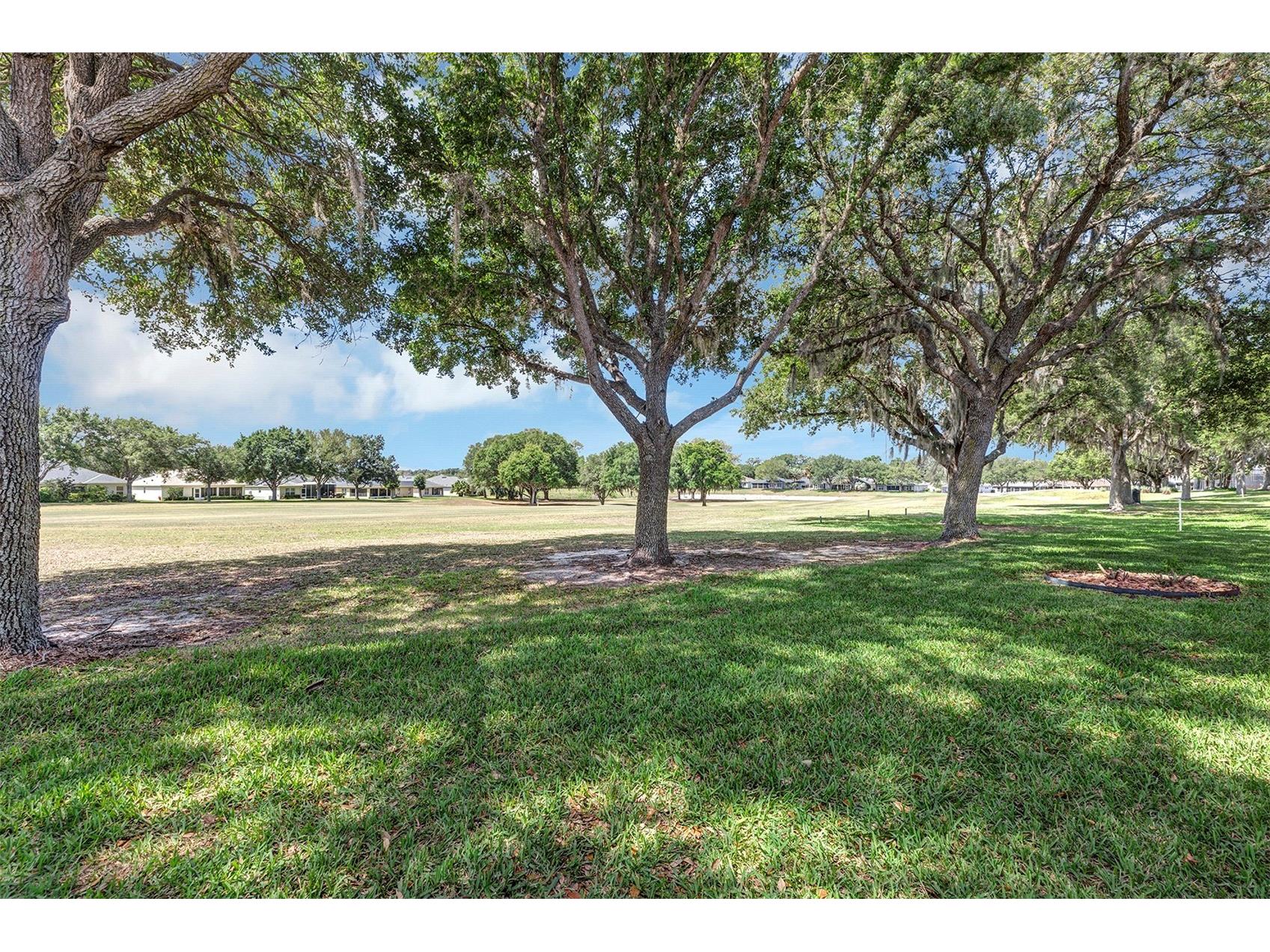 26868 White Plains Way Leesburg FL 34748 G5111853 image26