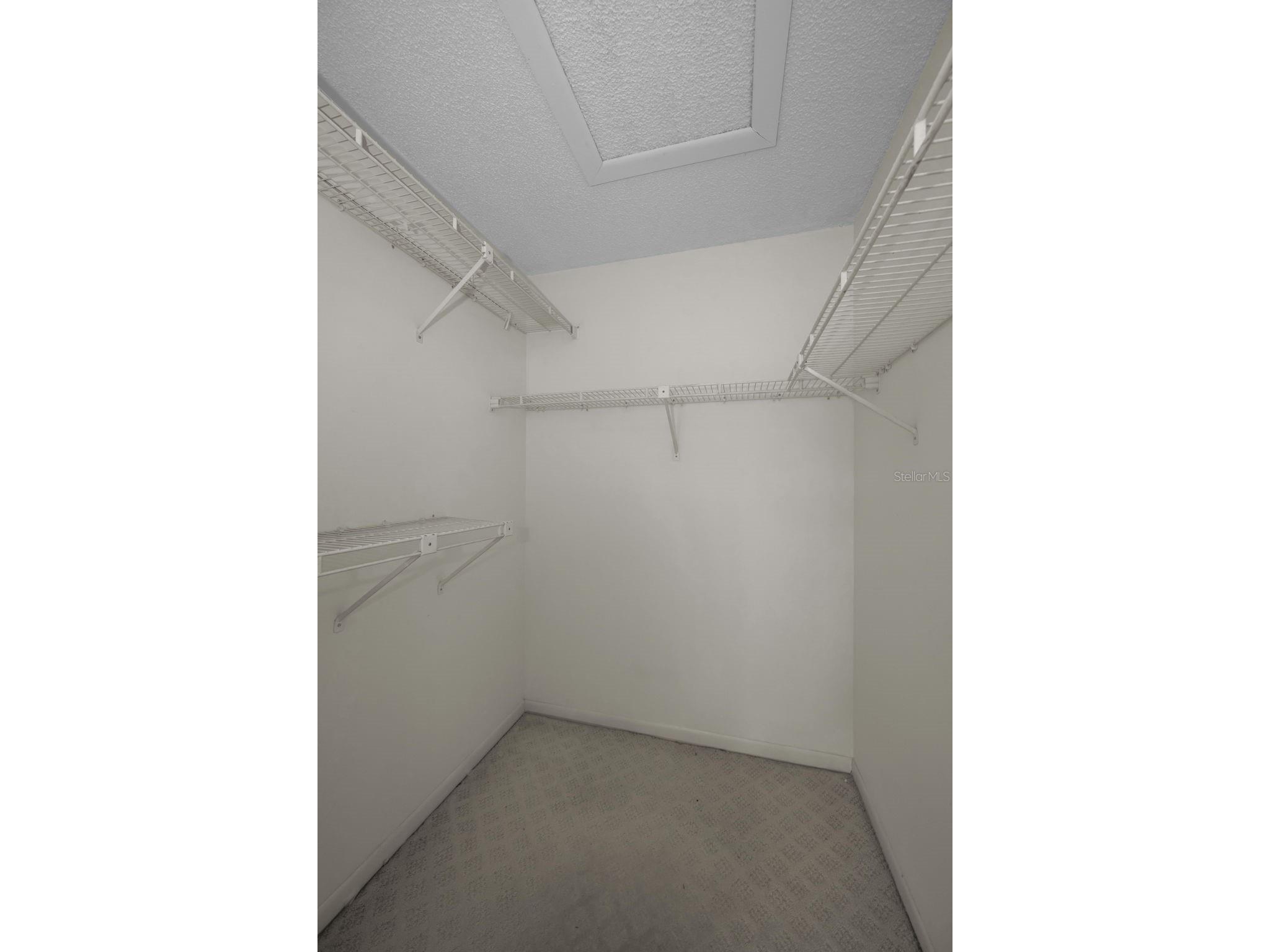 2687 Pine Ridge Way S #B2 Palm Harbor FL 34684 TB8514012 image24