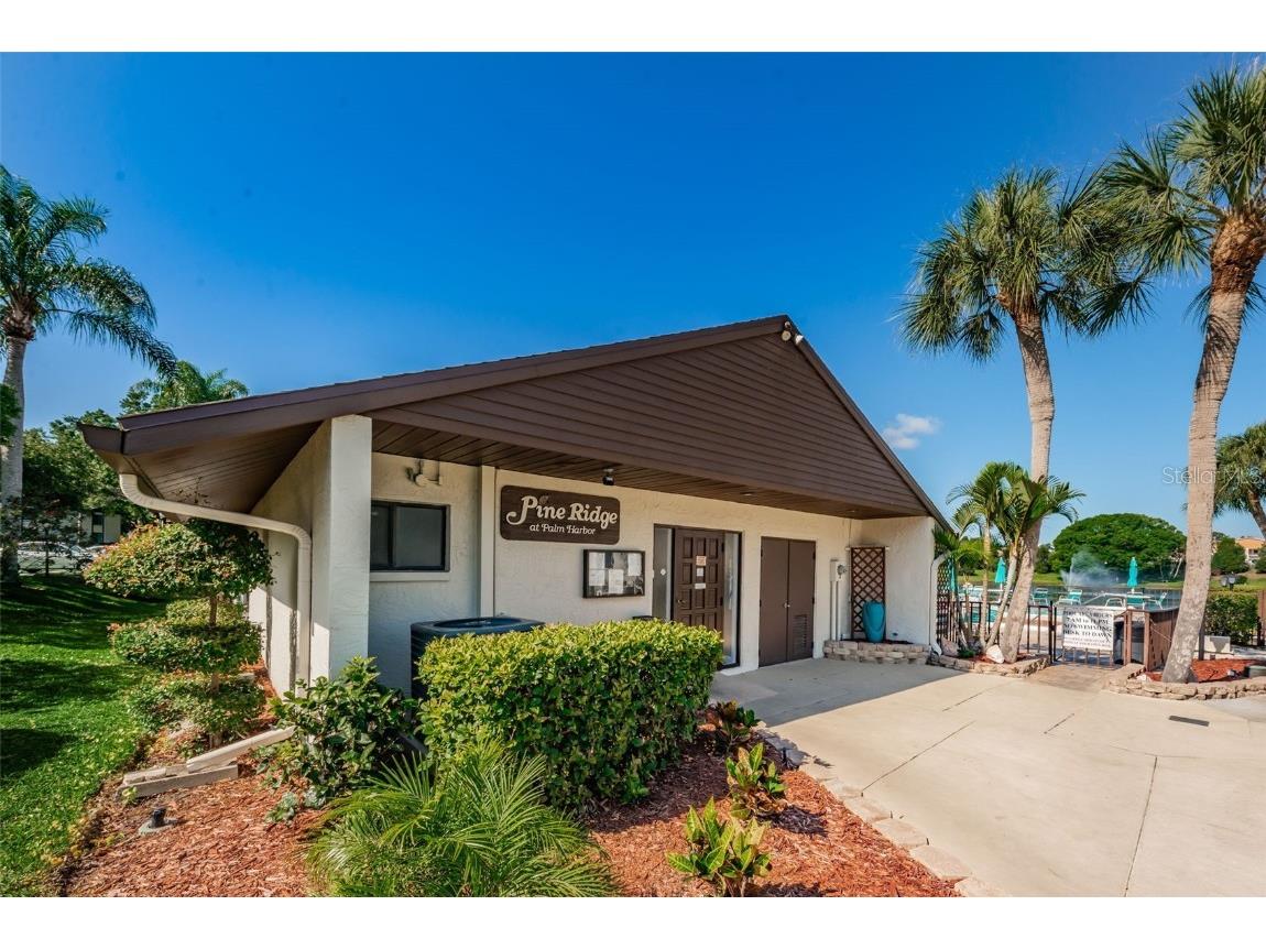 2687 Pine Ridge Way S #E1 Palm Harbor FL 34684 TB8419146 image43