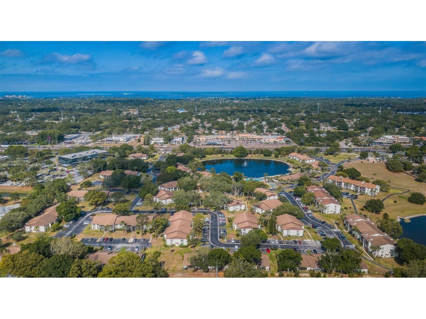 2687 Pine Ridge Way S #E1 Palm Harbor FL 34684 TB8419146 image50