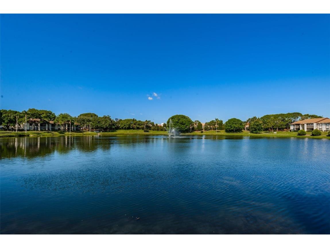 2687 Pine Ridge Way S #E1 Palm Harbor FL 34684 TB8419146 image54