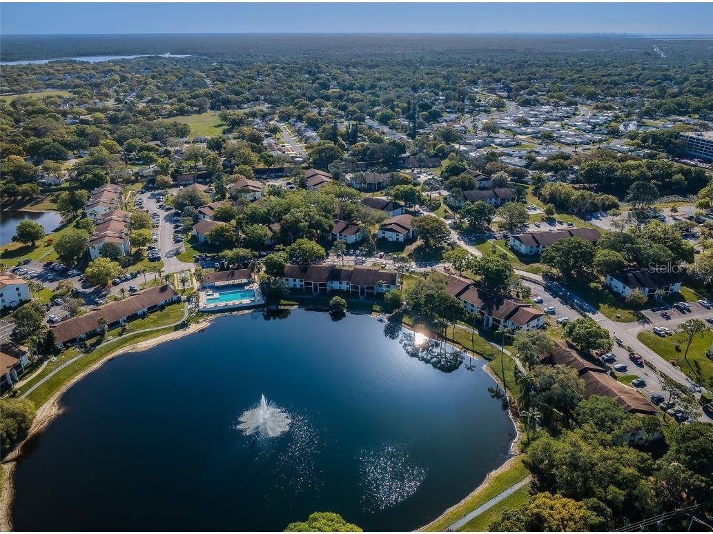 2687 Pine Ridge Way S #E1 Palm Harbor FL 34684 TB8419146 image61