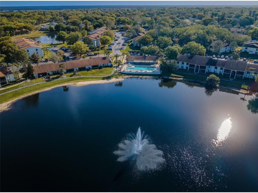 2687 Pine Ridge Way S #E1 Palm Harbor FL 34684 TB8419146 image62