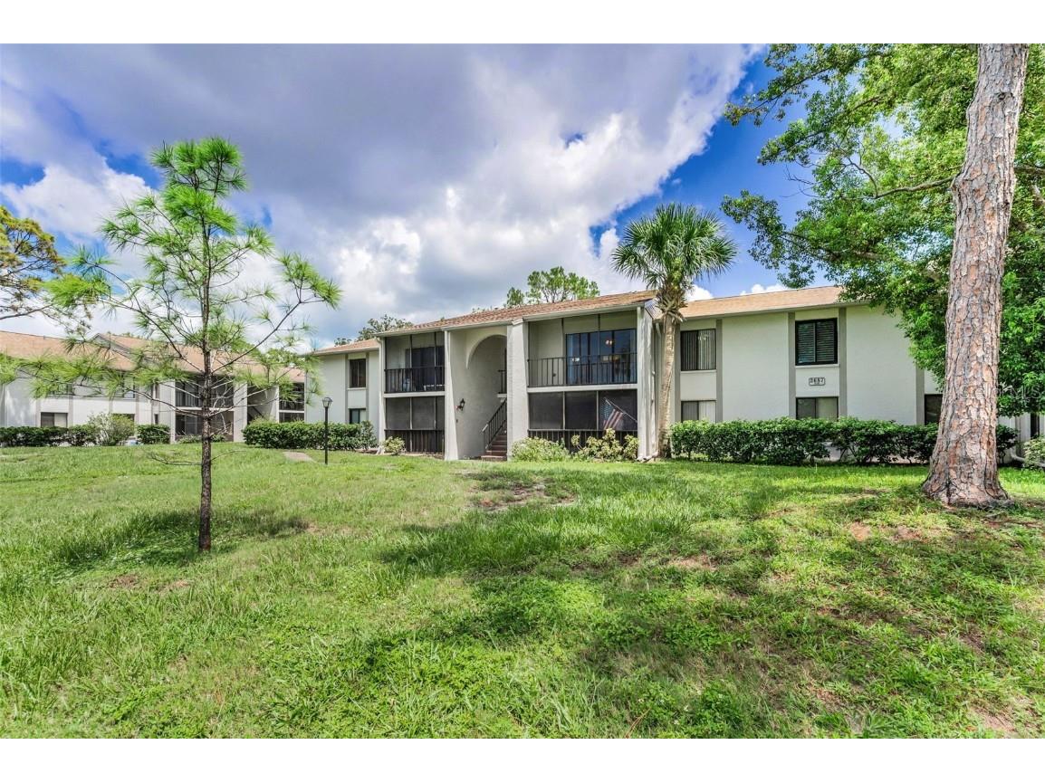 2687 Pine Ridge Way S #F2 Palm Harbor FL 34684 TB8422192 image4