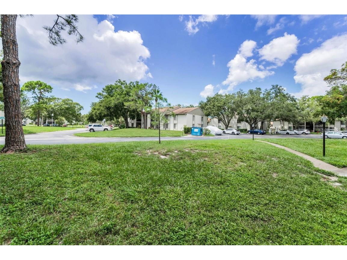 2687 Pine Ridge Way S #F2 Palm Harbor FL 34684 TB8422192 image40