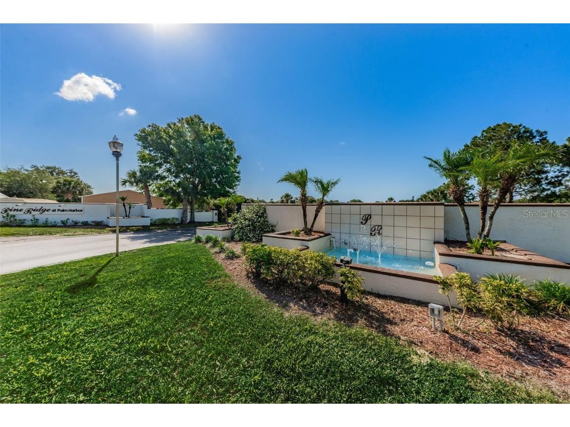 2687 Pine Ridge Way S #F2 Palm Harbor FL 34684 TB8422192 image41
