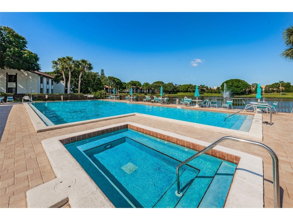 2687 Pine Ridge Way S #F2 Palm Harbor FL 34684 TB8422192 image51