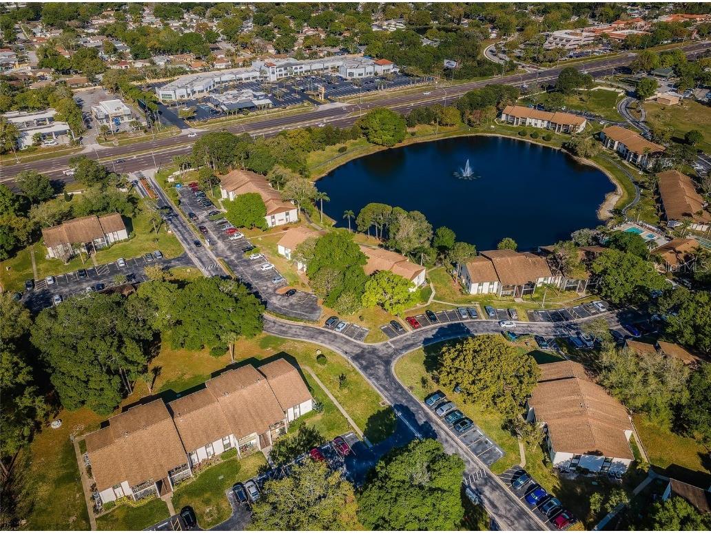 2687 Pine Ridge Way S #F2 Palm Harbor FL 34684 TB8422192 image62