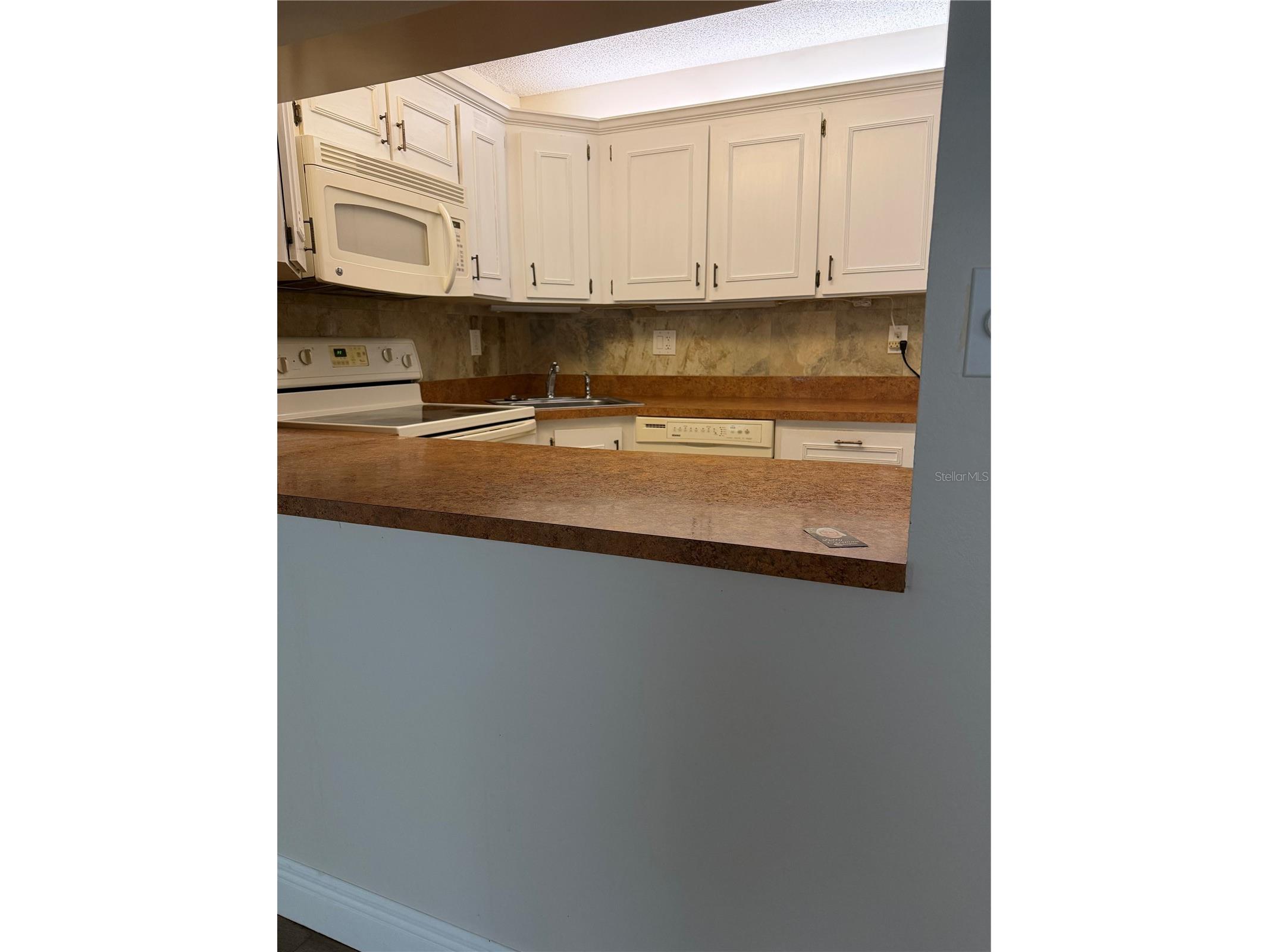 2687 Pine Ridge Way S #H1 Palm Harbor FL 34684 W7885546 image10