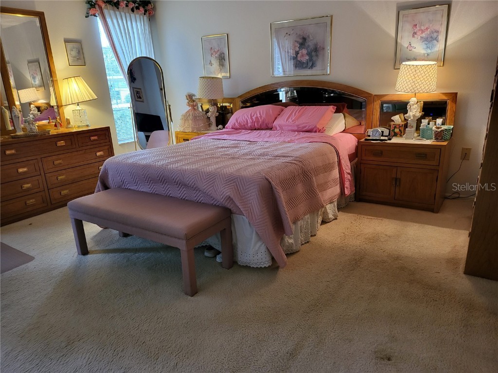 2687 Royal Ridge Drive Spring Hill FL 34606 V4944866 image13