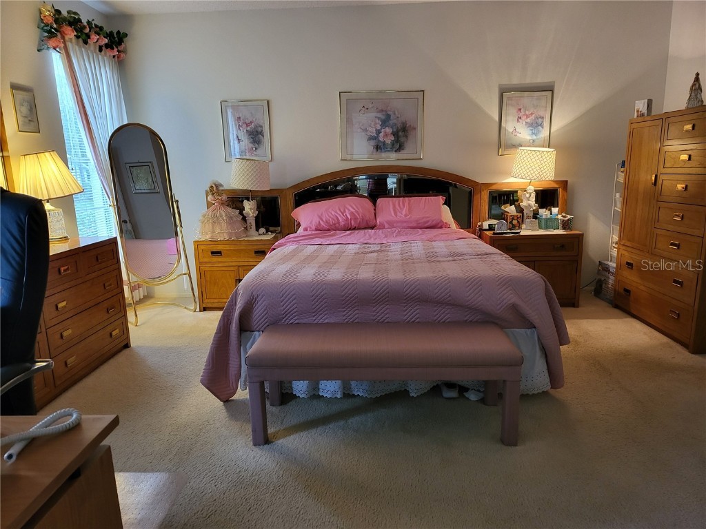 2687 Royal Ridge Drive Spring Hill FL 34606 V4944866 image15