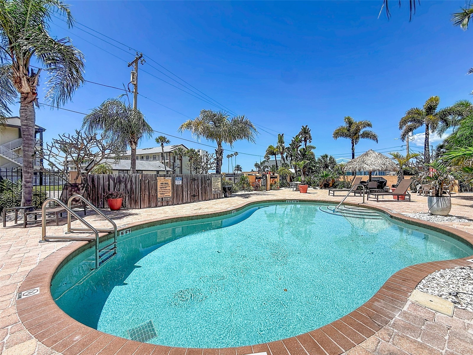 2687 Woodette Dr #B Dunedin FL 34698 TB8503539 image54