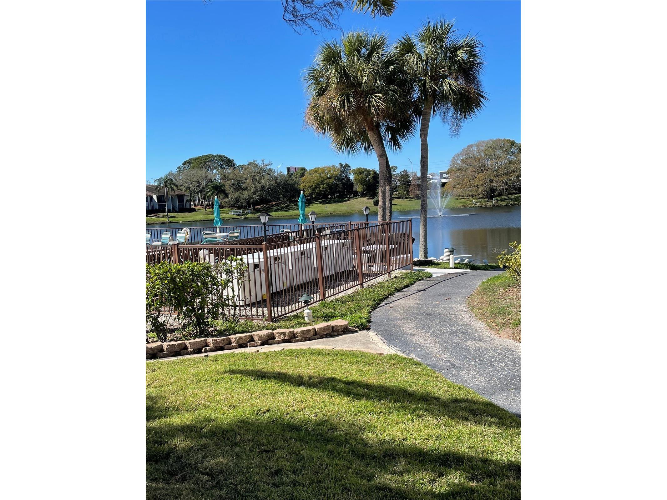 2688 Pine Ridge Way N #D2 Palm Harbor FL 34684 W7884458 image18
