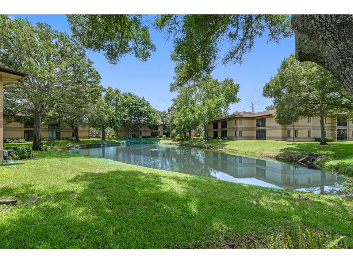 2689 Sabal Springs Circle #105 Clearwater FL 33761 U8216295 image1