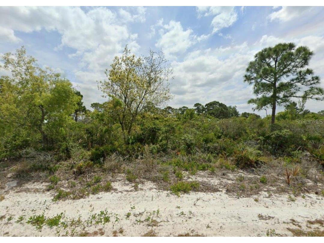 269 Briar Lane Lake Placid FL 33852 O6268382 image1