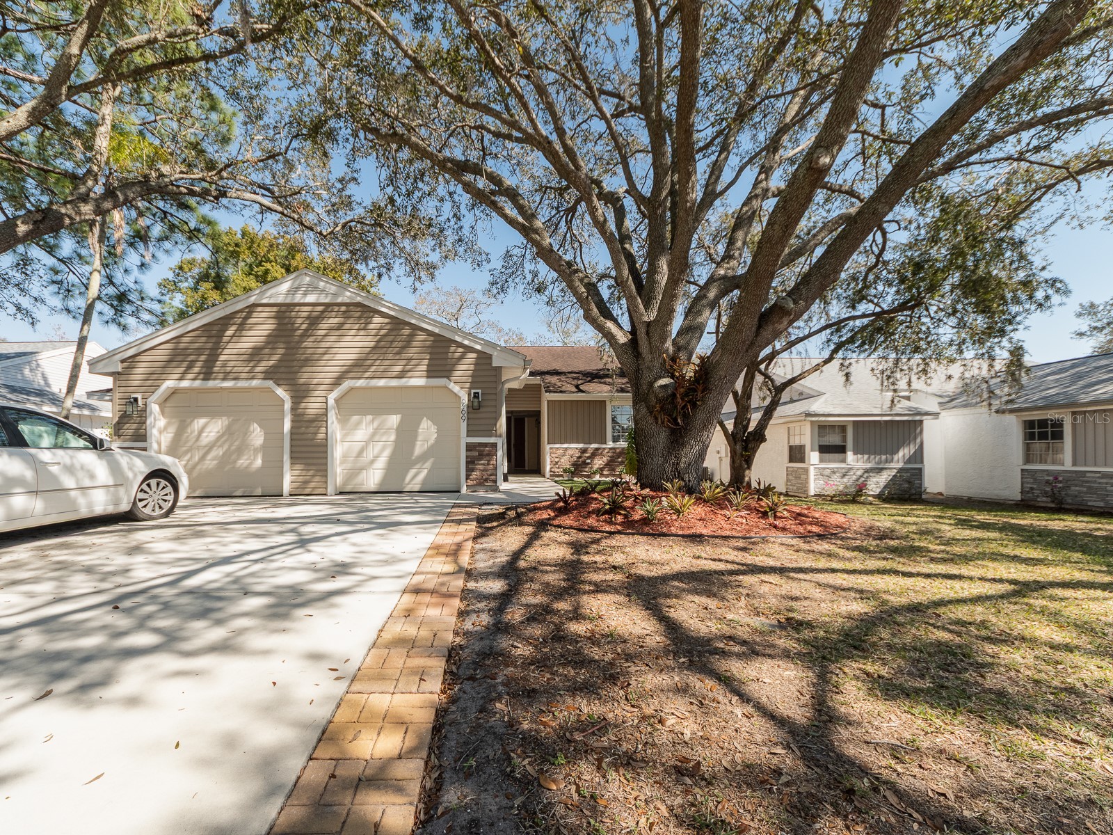 269 Petrea Drive Palm Harbor FL 34684 TB8477597 image1