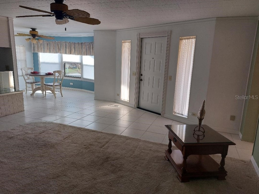 269 Salem Avenue #9 Palm Harbor FL 34684 TB8450434 image13