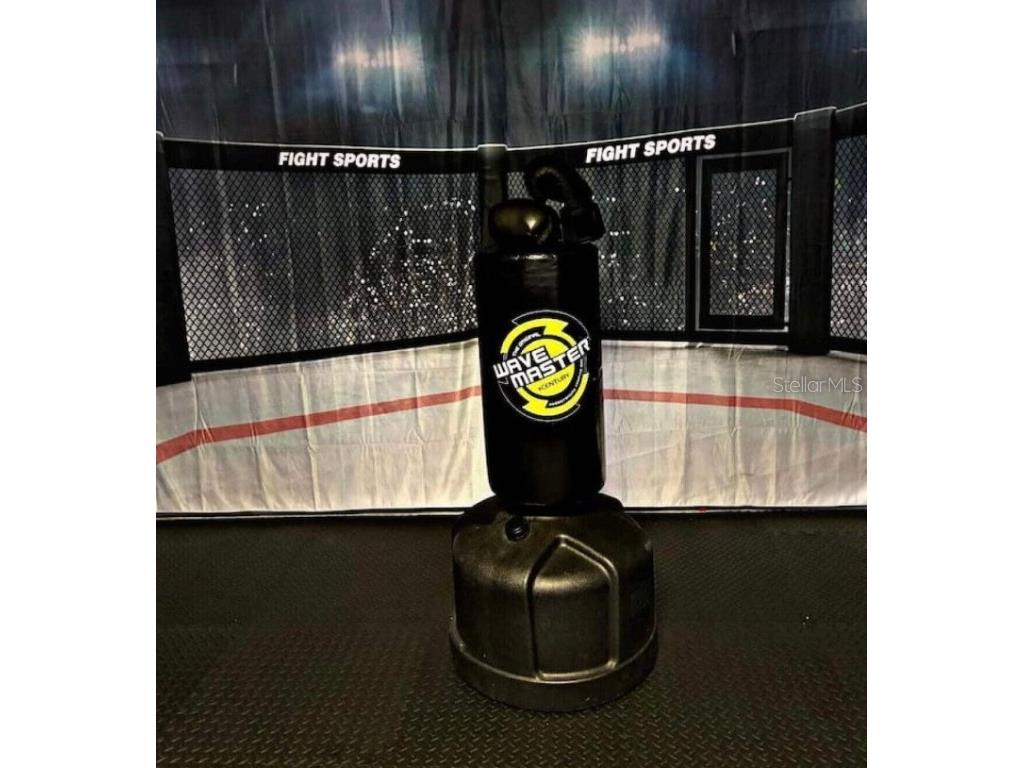 2690 Calistoga Avenue Kissimmee FL 34741 S5139922 image31