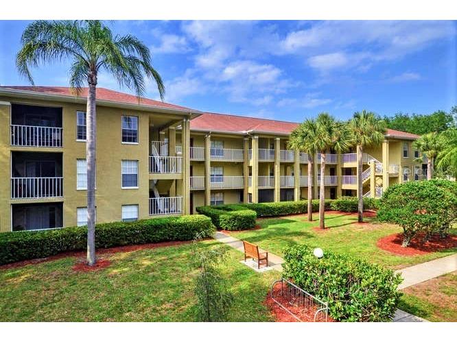2690 Coral Landings Boulevard #217 Palm Harbor FL 34684 TB8390657 image1