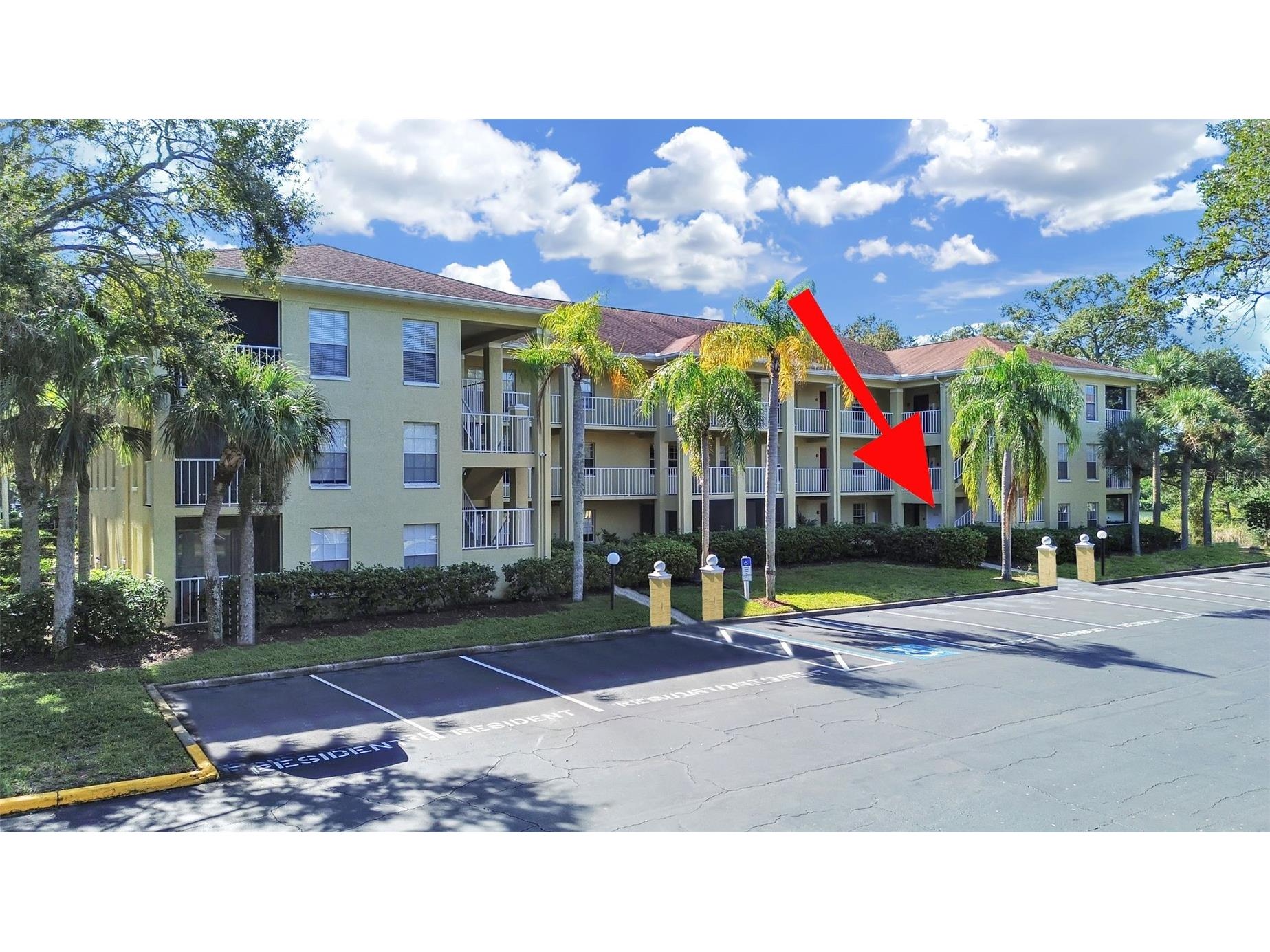 2690 Coral Landings Boulevard #218 Palm Harbor FL 34684 TB8440696 image2