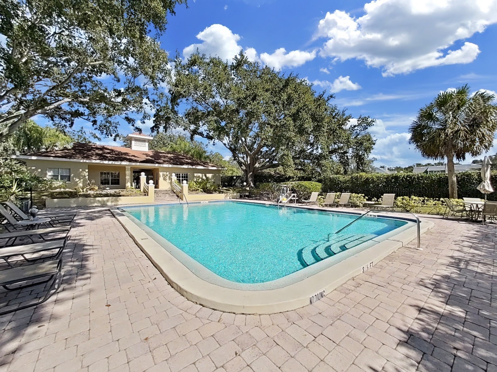 2690 Coral Landings Boulevard #218 Palm Harbor FL 34684 TB8440696 image39