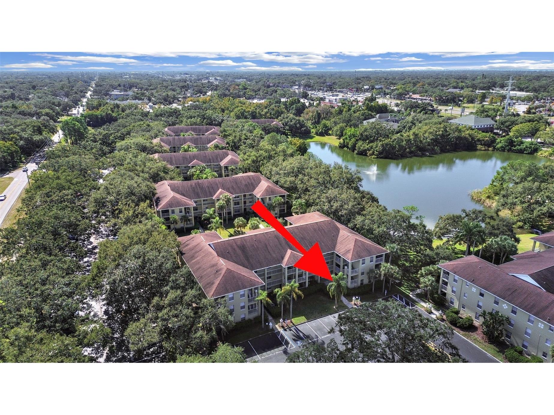2690 Coral Landings Boulevard #218 Palm Harbor FL 34684 TB8440696 image4