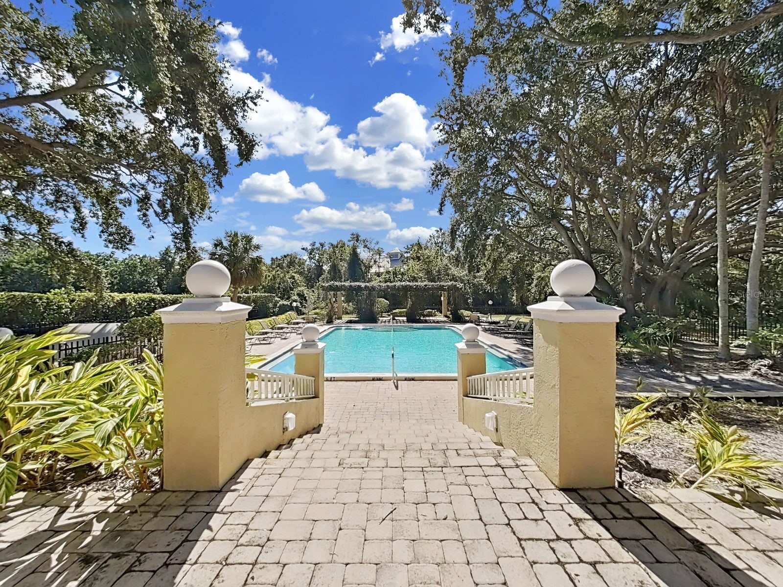 2690 Coral Landings Boulevard #218 Palm Harbor FL 34684 TB8440696 image42