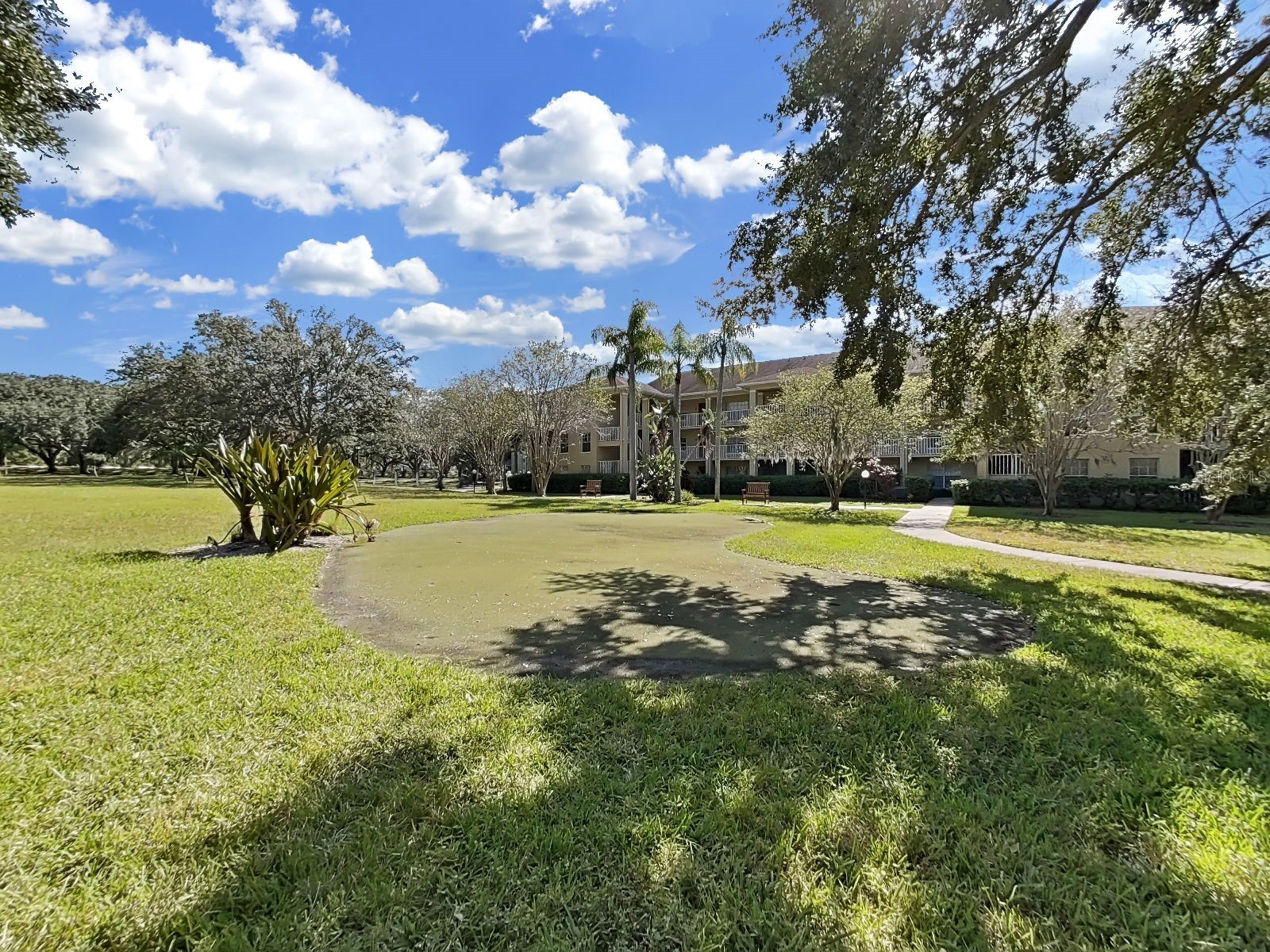 2690 Coral Landings Boulevard #218 Palm Harbor FL 34684 TB8440696 image50