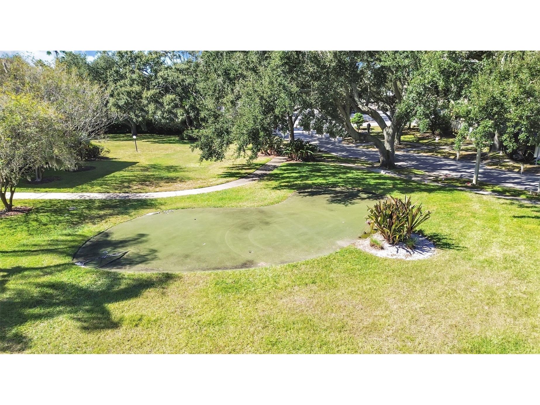 2690 Coral Landings Boulevard #218 Palm Harbor FL 34684 TB8440696 image51