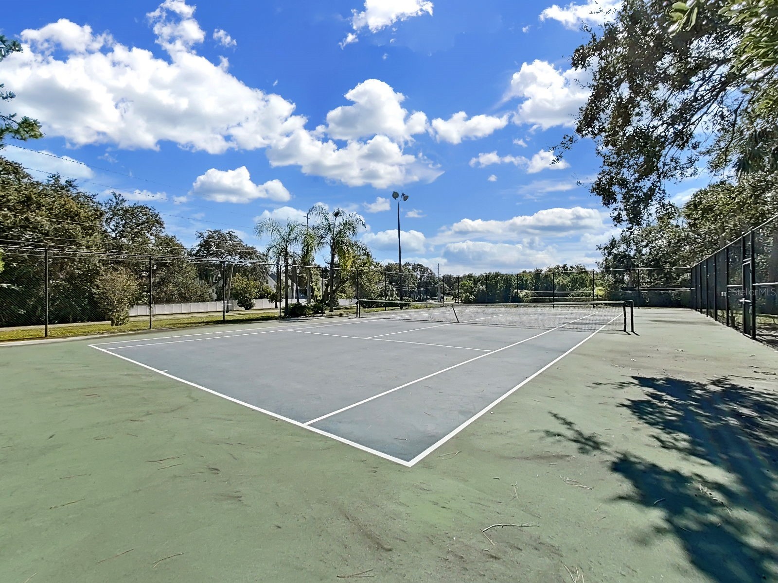 2690 Coral Landings Boulevard #218 Palm Harbor FL 34684 TB8440696 image54