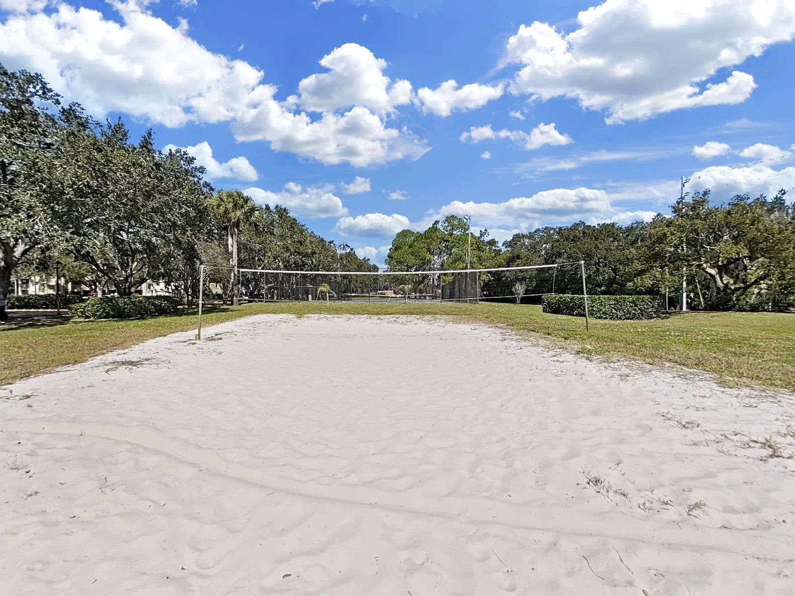 2690 Coral Landings Boulevard #218 Palm Harbor FL 34684 TB8440696 image55