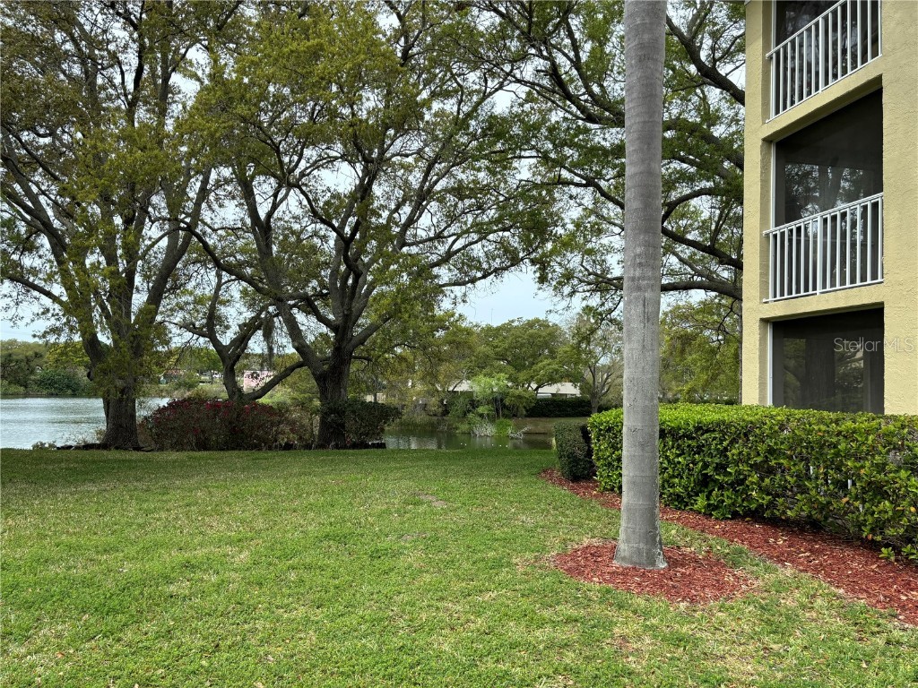 2690 Coral Landings Boulevard #224 Palm Harbor FL 34684 T3508489 image1