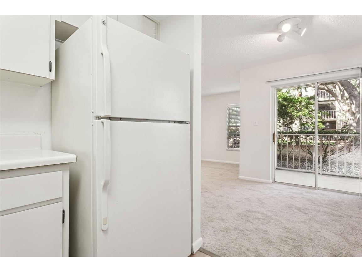 2690 Coral Landings Boulevard #415 Palm Harbor FL 34684 TB8452313 image9