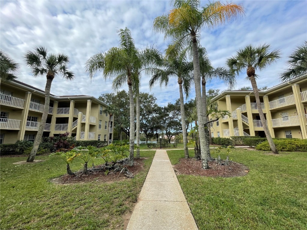 2690 Coral Landings Boulevard #427 Palm Harbor FL 34684 T3495790 image1