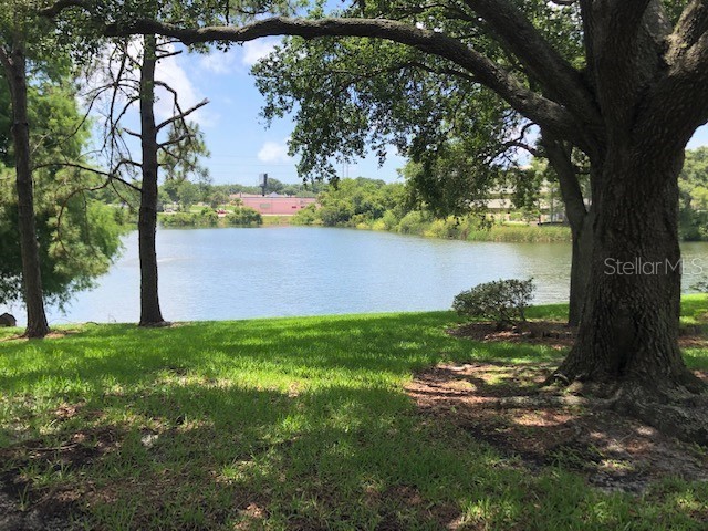 2690 Coral Landings Boulevard #438 Palm Harbor FL 34684 TB8466014 image19
