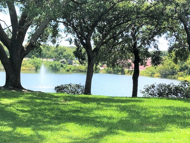 2690 Coral Landings Boulevard #438 Palm Harbor FL 34684 TB8466014 image2