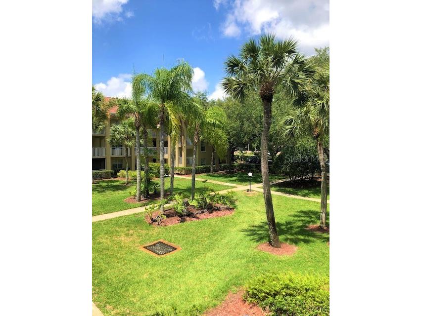 2690 Coral Landings Boulevard #438 Palm Harbor FL 34684 TB8466014 image20