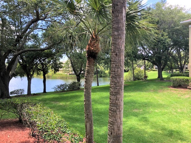 2690 Coral Landings Boulevard #438 Palm Harbor FL 34684 TB8466014 image21