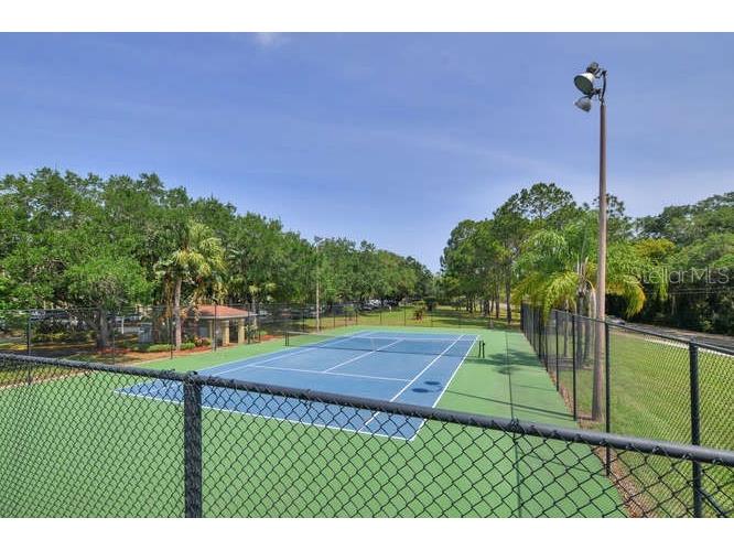 2690 Coral Landings Boulevard #438 Palm Harbor FL 34684 TB8466014 image26