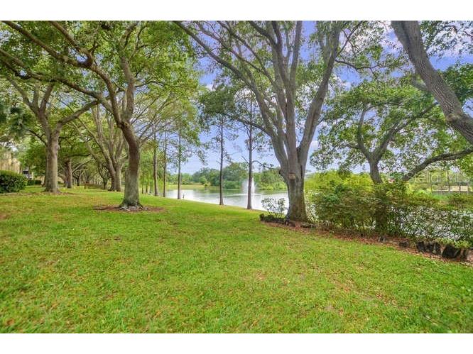 2690 Coral Landings Boulevard #438 Palm Harbor FL 34684 TB8506928 image25