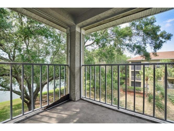 2690 Coral Landings Boulevard #438 Palm Harbor FL 34684 TB8506928 image5