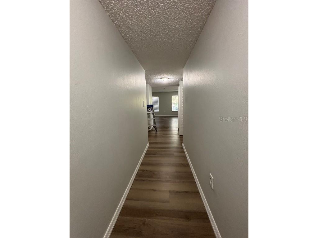2690 Coral Landings Boulevard #535 Palm Harbor FL 34684 TB8317822 image5