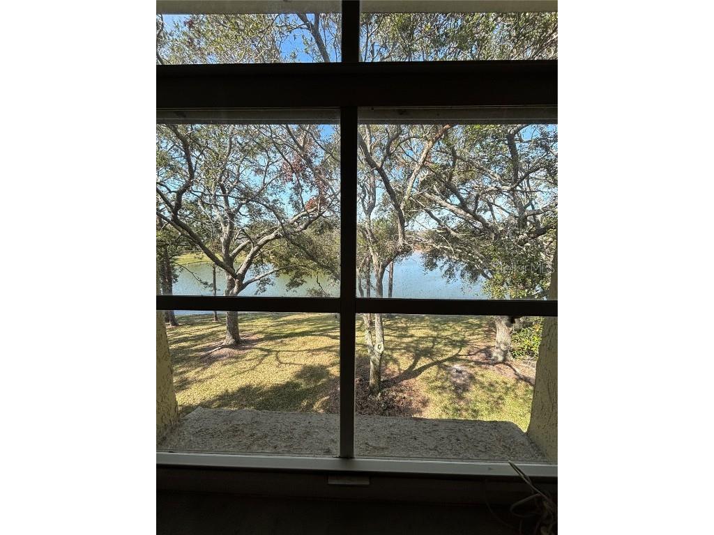 2690 Coral Landings Boulevard #538 Palm Harbor FL 34684 TB8347174 image10